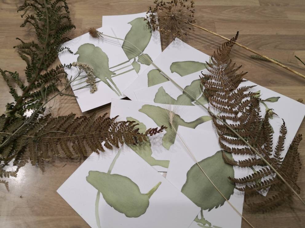 kit DIY solaire artistique cyanotype motif oiseaux