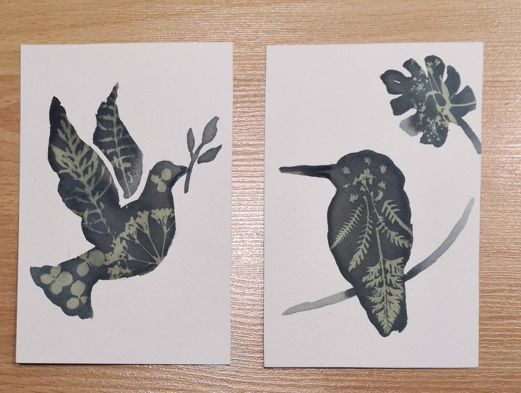 kit DIY solaire artistique cyanotype motif oiseaux