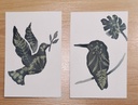 kit DIY solaire artistique cyanotype motif oiseaux