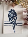 kit DIY solaire artistique cyanotype motif oiseaux