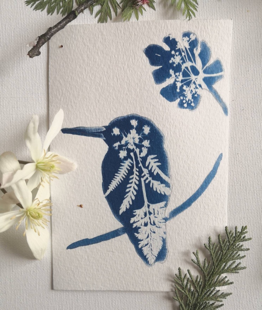 kit DIY solaire artistique cyanotype motif oiseaux