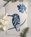 kit DIY solaire artistique cyanotype motif oiseaux