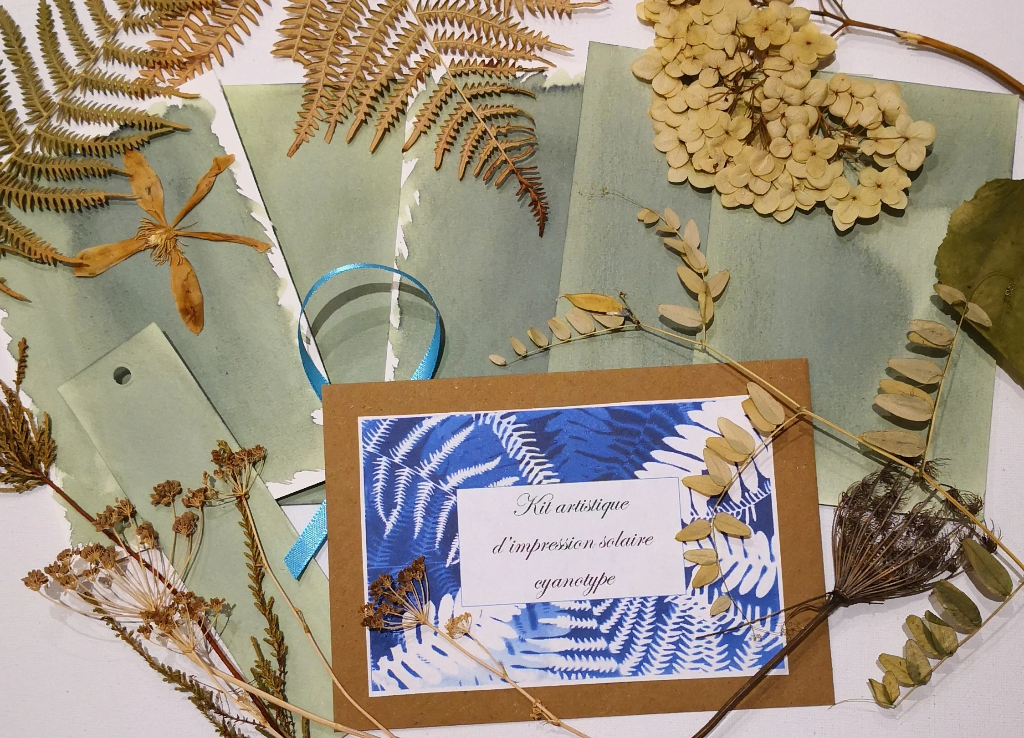 kit DIY solaire artistique cyanotype motif oiseaux