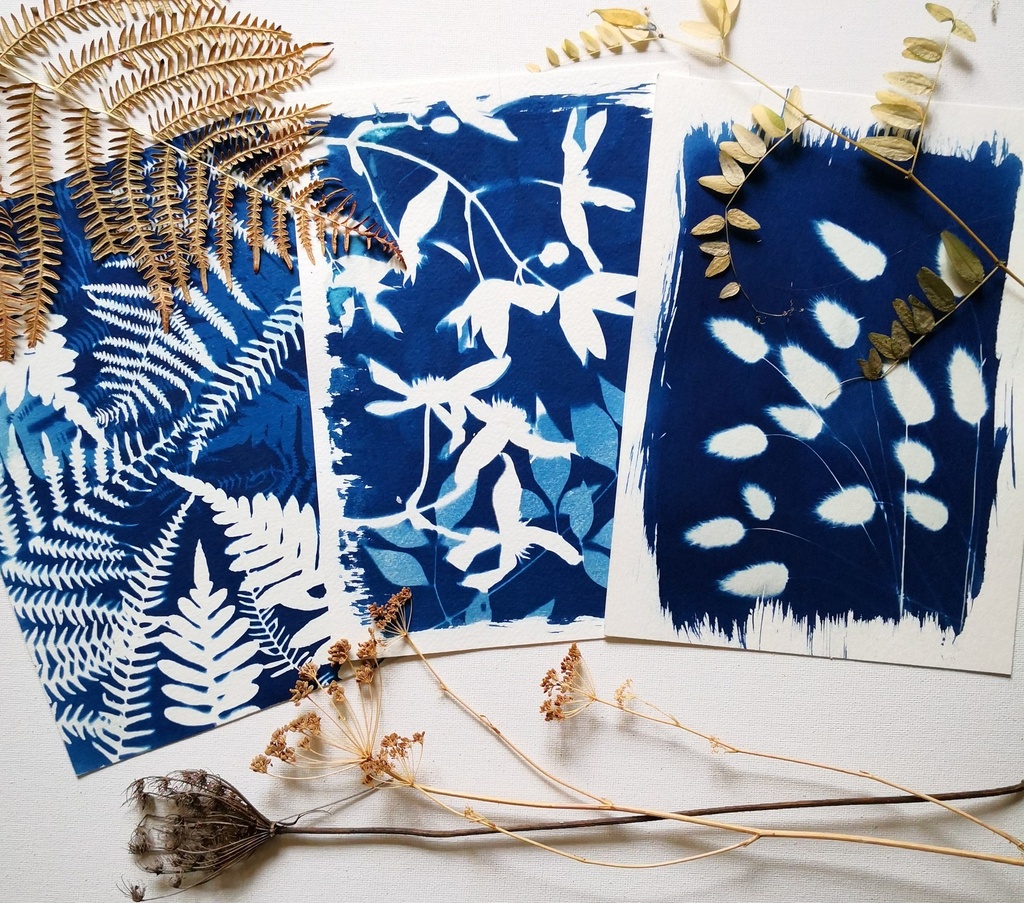 kit DIY Impression Solaire Artistique en Cyanotype