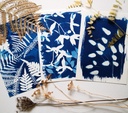 kit DIY Impression Solaire Artistique en Cyanotype