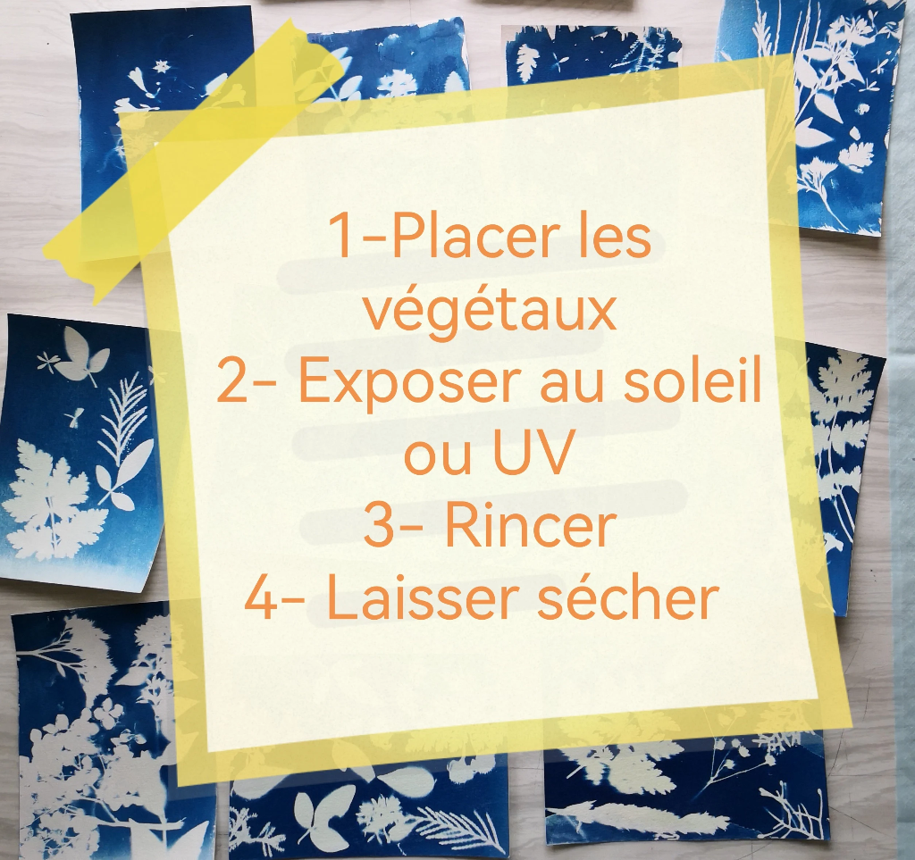 kit DIY Impression Solaire Artistique en Cyanotype