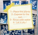kit DIY Impression Solaire Artistique en Cyanotype